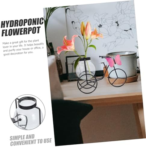 Modern Decorative Pedicab Glass Vase Wrought Iron Flower Pot
