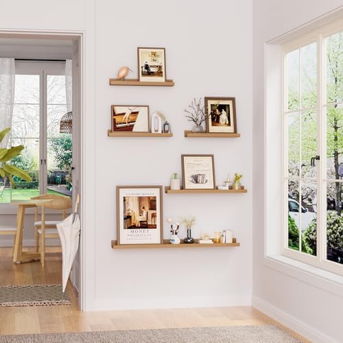 Floating Shelves Set of 6 24 Inch Wall Mounted Display Organizer