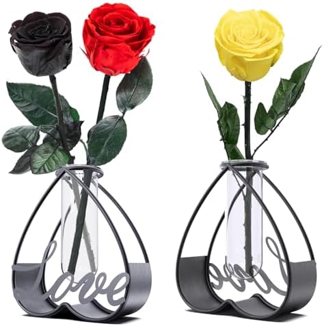 SofLiv Heart Shaped Metal Flower Vase with Frame