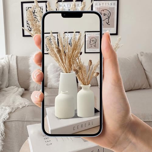 Set of 3 Beige Ceramic Vases for Pampas Grass and Dried Flowers