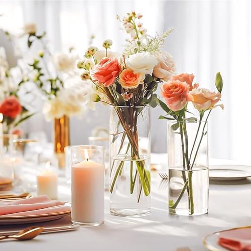 15 Pack Clear Glass Cylinder Vases 8 Inch Tall