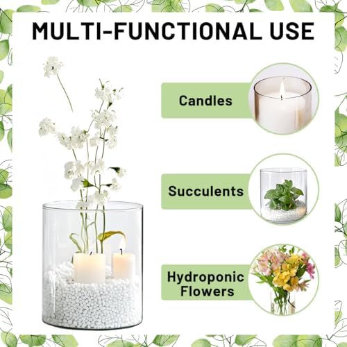 6 Pcs Glass Cylinder Vases for Centerpieces