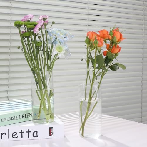 Tall 59 Inch Glass Cylinder Vase for Wedding and Home Decor