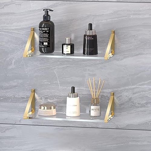 Clear Shelves for Wall Gold Floating Shelves Set of 2