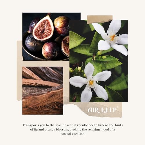 Airkeep Reed Diffuser Set Ocean Mist Sea Salt 676 Fl Oz 1 Pack