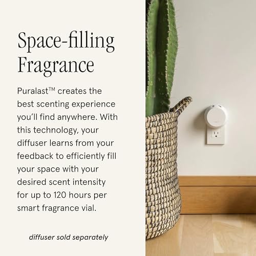 Pura Guy Fox Home Scent Refill - 2 Pack