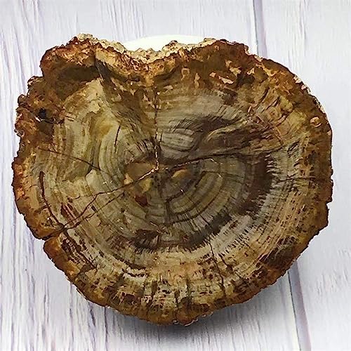 KatLin Natural Wood Grain Crystal Healing Stones 800-850g