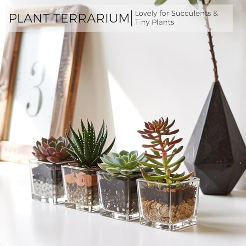 CONNOO 12 Pack Clear Square Glass Vases 3x3x3 for Centerpieces and Decor