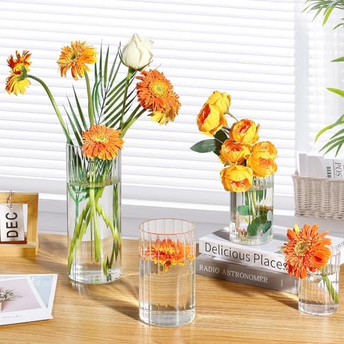 16 Pack Clear Glass Cylinder Vases 55 6 Inch Tall for Home Decor Wedding Centerpieces