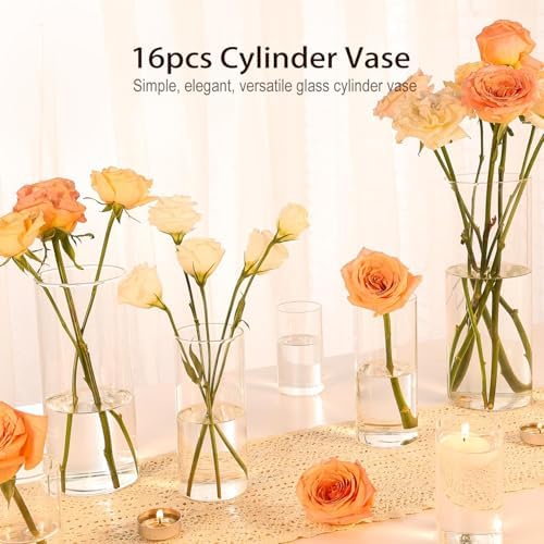 16 Pack Clear Glass Cylinder Vases for Home Decor and Party Use