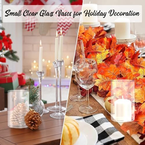 12pcs Clear Glass Cylinder Vases for Centerpieces and Decorations