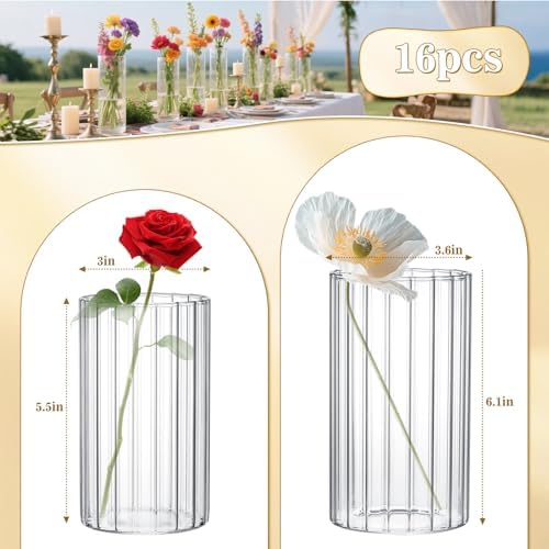 16 Pack Clear Glass Cylinder Vases 55 6 Inch Tall for Home Decor Wedding Centerpieces