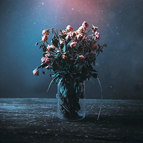 WGVI Quality Thick Cylinder Vase 6 x 8 Clear Glass Container for Wedding Centerpiece Decor Event Home Use