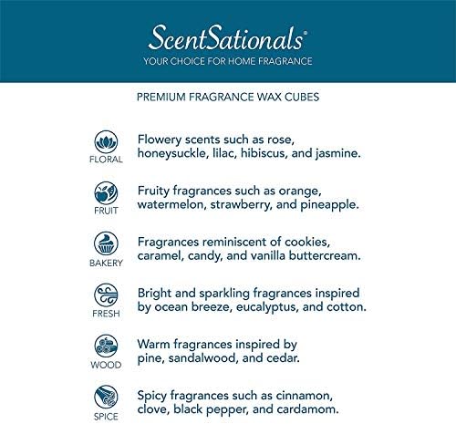 Scentsationals Scented Wax Cubes - Vanilla Bean 10oz 24-Cubes