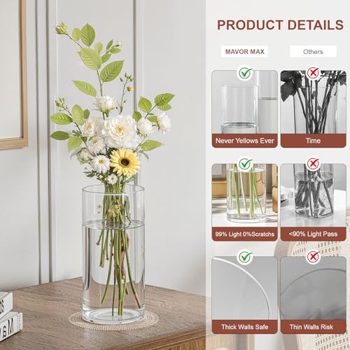 Mavora Max Glass Cylinder Vase Set 15