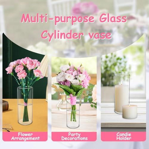 Tall 59 Inch Clear Glass Cylinder Vase for Home Decor