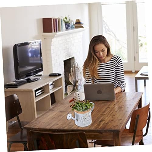 BESPORTBLE 2pcs Retro Iron Flower Bucket Decor Vase