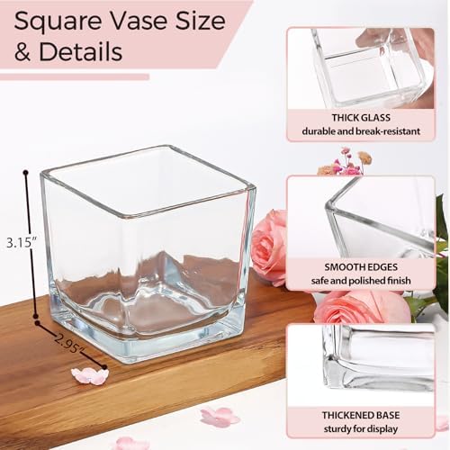 CONNOO 12 Pack Clear Square Glass Vases 3x3x3 for Centerpieces and Decor