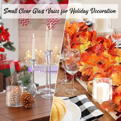6pcs Clear Glass Cylinder Vases for Centerpieces
