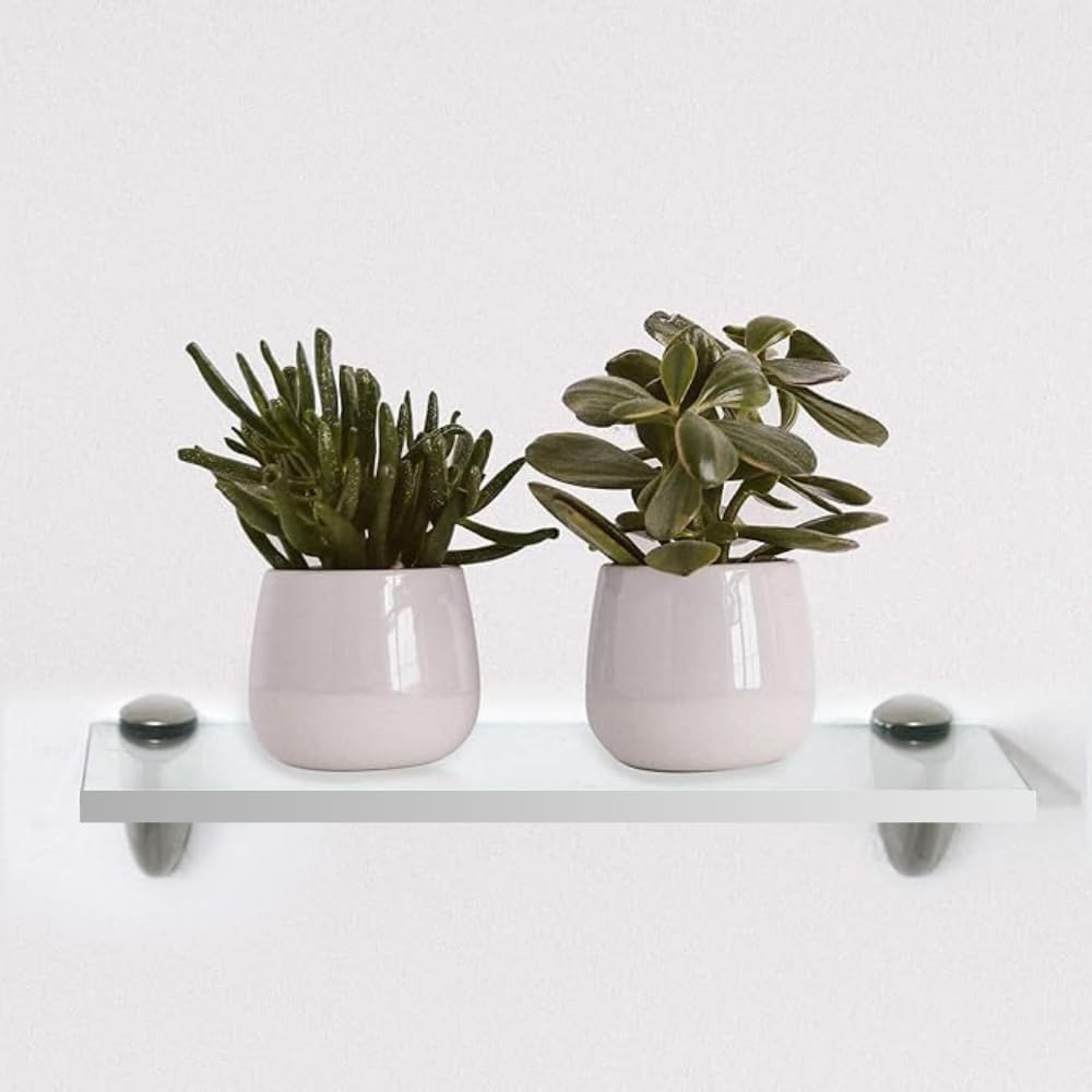 Clear Acrylic Floating Shelf 8x12 Inch by Yana