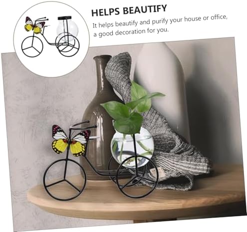 Modern Decorative Pedicab Glass Vase Wrought Iron Flower Pot