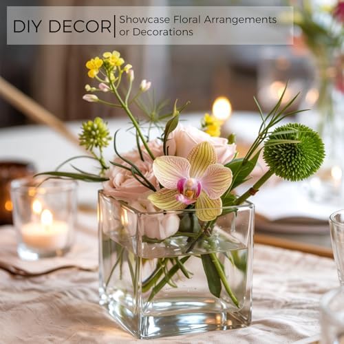 CONNOO 12 Pack Clear Square Glass Vases 3x3x3 for Centerpieces and Decor