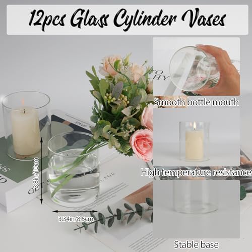 12pcs Clear Glass Cylinder Vases for Centerpieces and Decor