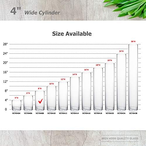 WGVI Clear Glass Cylinder Vases 6 Pcs Set 4 W x 8 H