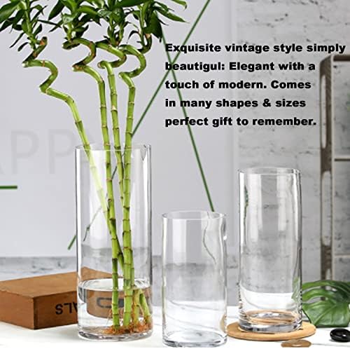 Clear Cylinder Vase Set 6Pcs for Centerpieces and Decorations