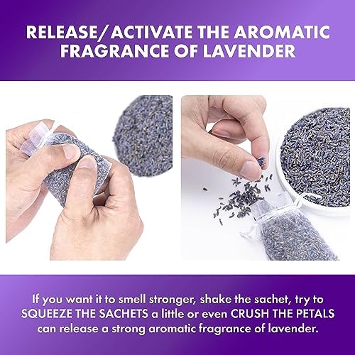 French Lavender Sachets Set of 48 for Closets and Drawers
