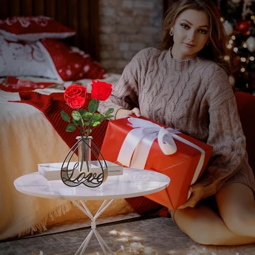 SofLiv Heart Shaped Metal Flower Vase with Frame
