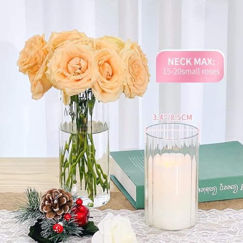 6 Pcs Clear Glass Cylinder Vases Set 8 Inch Tall for Centerpieces and Decorations