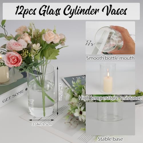12pcs Clear Glass Cylinder Vases for Centerpieces and Decorations