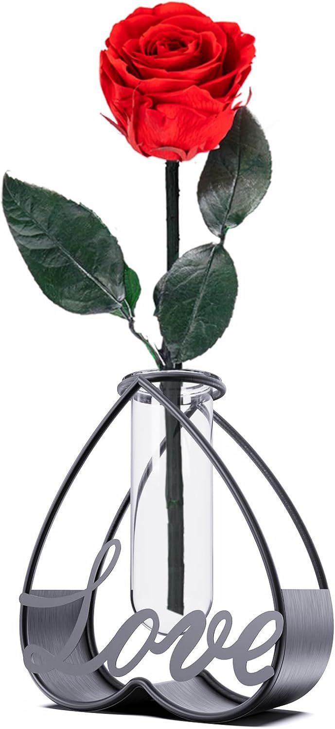 SofLiv Heart Shaped Metal Flower Vase with Frame