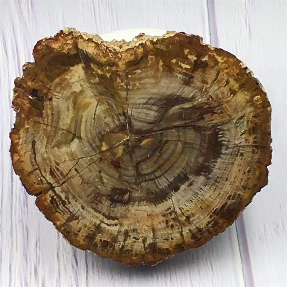 KatLin Natural Wood Grain Crystal Healing Stones 800-850g