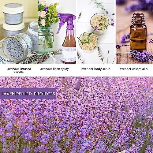 Cedar Space 32 Lavender Sachet Bags for Closets and Drawers