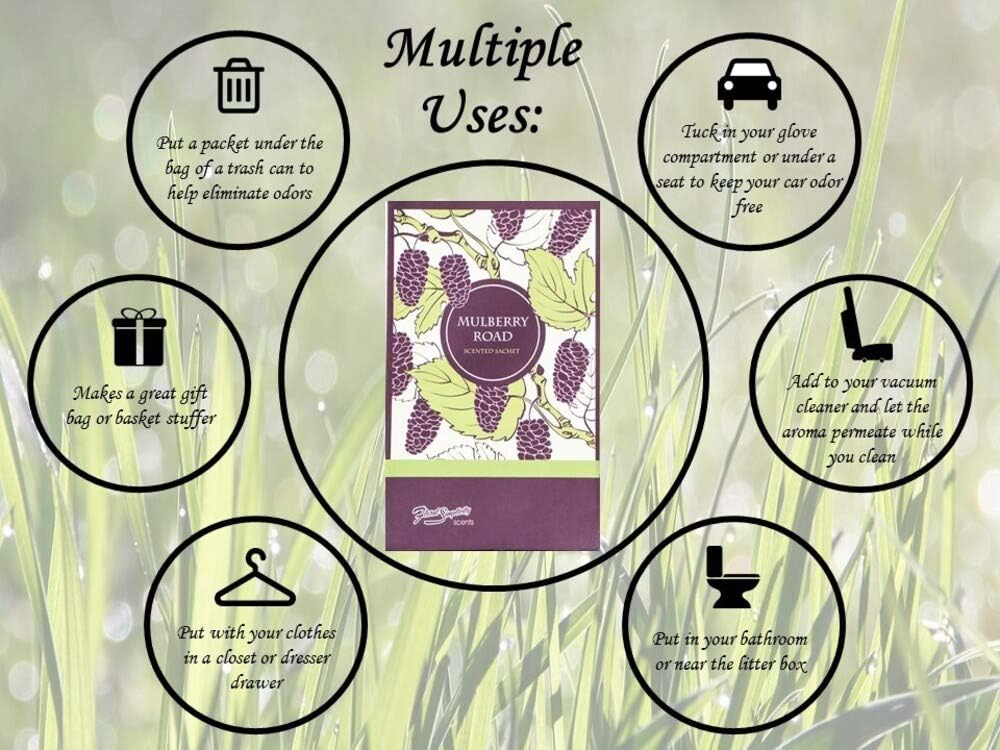 Mulberry Road Scented Sachets Pack of 6 - Home Fragrance
