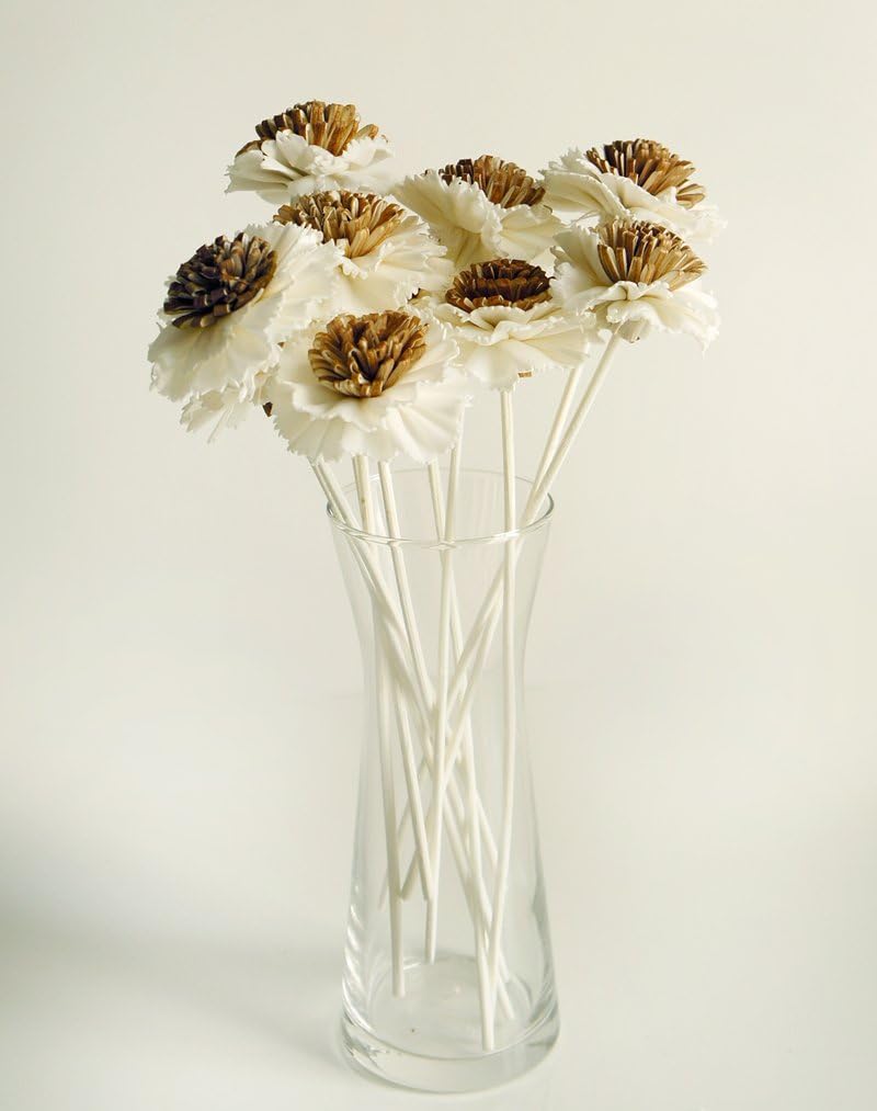 10 Fried Egg Reed Diffuser Oils by Plawanature