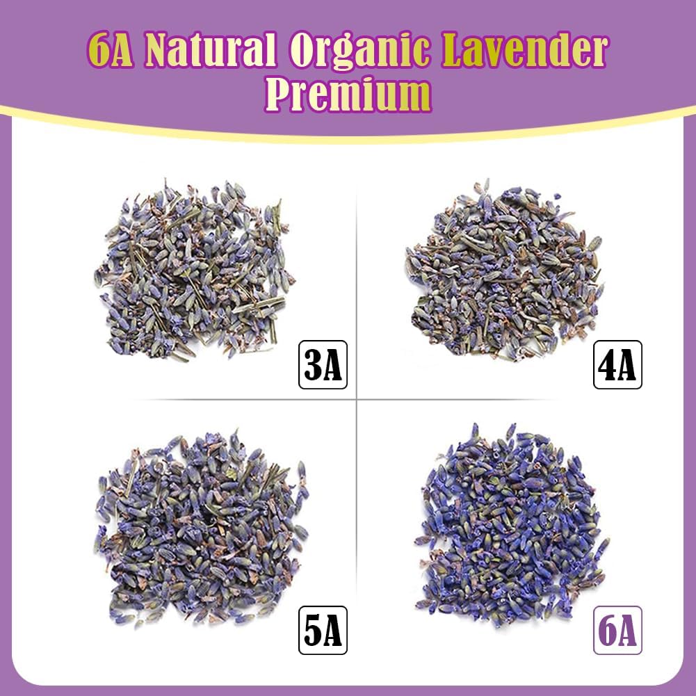 Cedar Space 32 Lavender Sachet Bags for Closets and Drawers