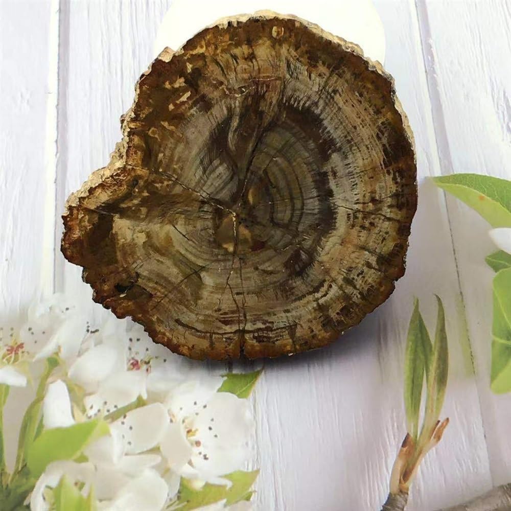 KatLin Natural Wood Grain Crystal Healing Stones 800-850g