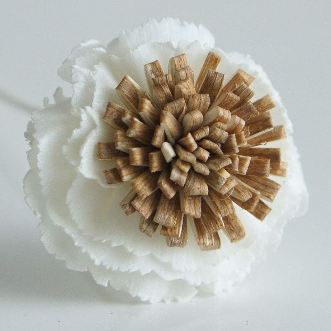 10 Fried Egg Reed Diffuser Oils by Plawanature