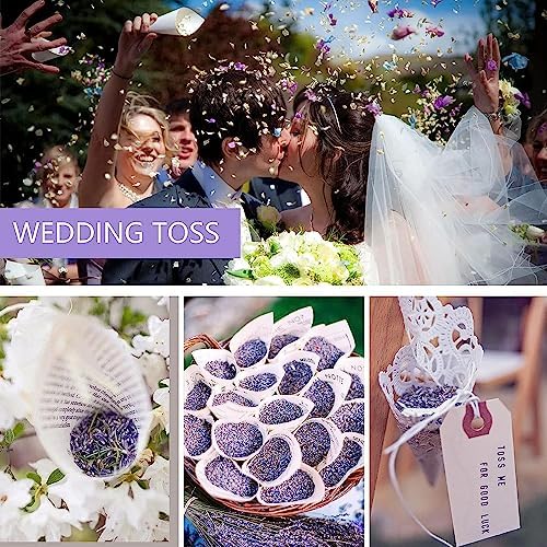 Cedar Space 32 Lavender Sachet Bags for Closets and Drawers