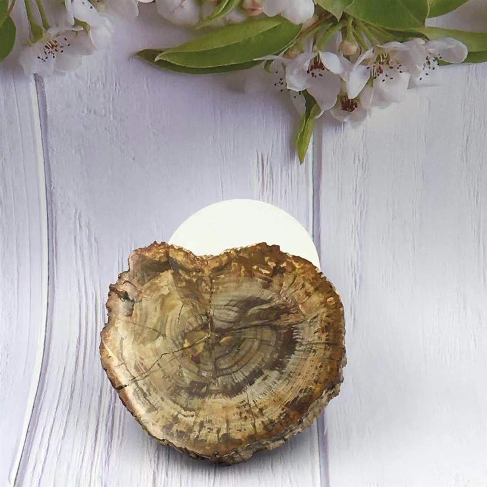 KatLin Natural Wood Grain Crystal Healing Stones 800-850g