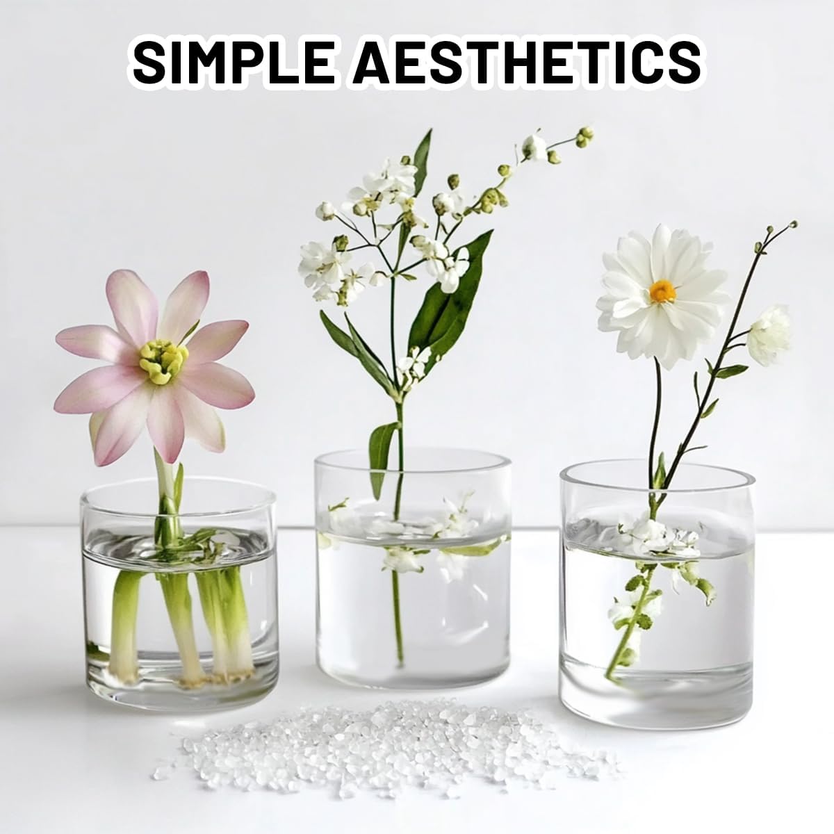 6 Pcs Glass Cylinder Vases for Centerpieces
