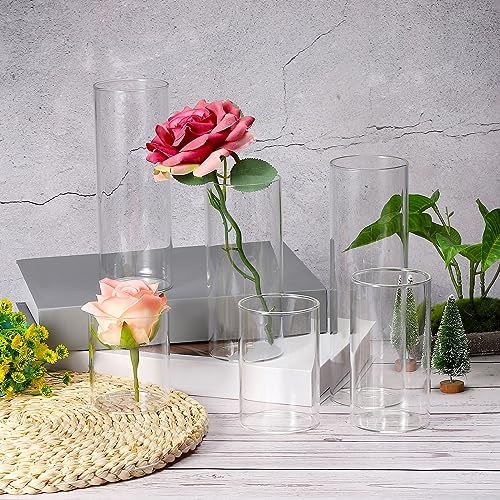 PATIKIL Clear Glass Cylinder Vase 79 Tall 26 Dia