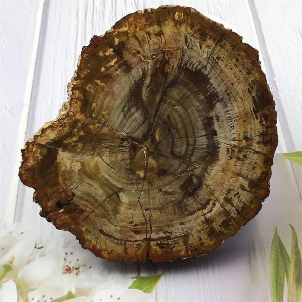 KatLin Natural Wood Grain Crystal Healing Stones 800-850g