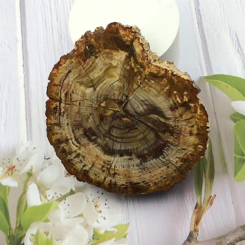 KatLin Natural Wood Grain Crystal Healing Stones 800-850g