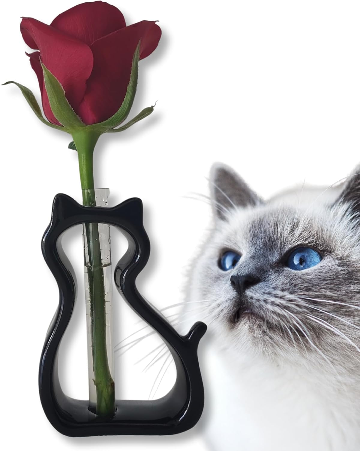 Japanese Ceramic Cat Vase for Flowers and Dried Flowers