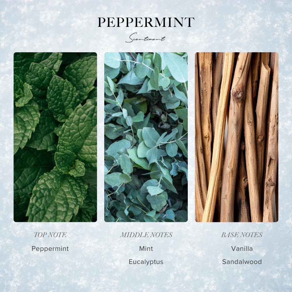 Peppermint Winter Diffuser Oil 20ml