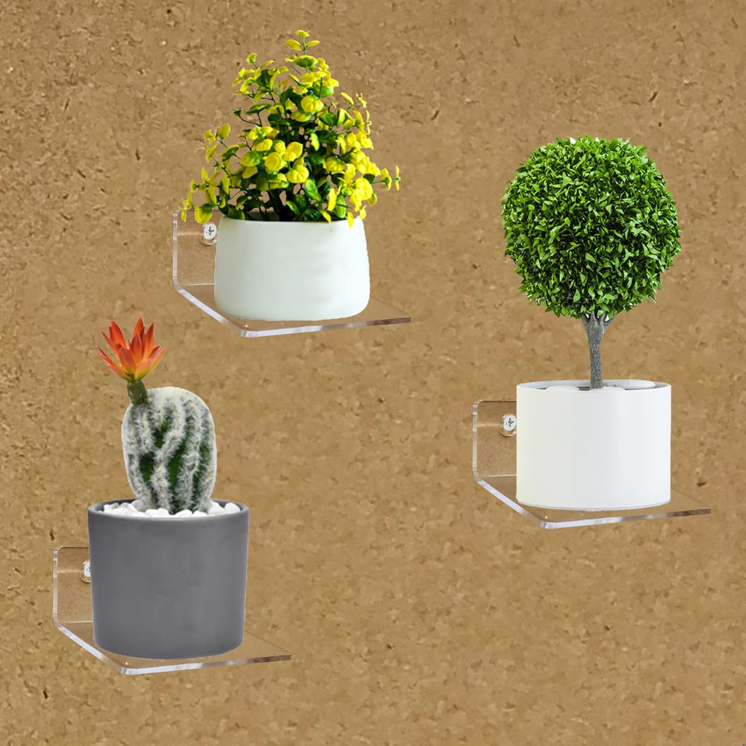 Bigfety Acrylic Floating Shelves 3-Ledges Clear Mini Display Shelf